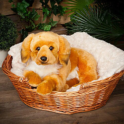 Avis Living Nature- géant ? Peluche Chien Golden Retriever (60 cm), AN480, Unknown