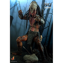 Acheter Hot Toys TMS114 - Prey 2022 - Feral Predator