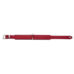 Acheter Hunter 46947 Basic 50 Collier en Nickel pour Chien Rouge 35-43 cm