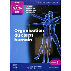 Organisation du corps humain : CAP, BP, bac pro 2de, 1re, terminale, BTS métiers esthétique, cosmétique, parfumerie