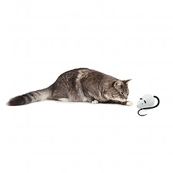 Avis FroliCat Jouet automatique pour chat RoloRat