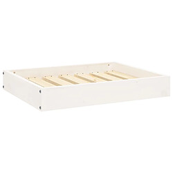 vidaXL Lit pour chien Blanc 61,5x49x9 cm Bois de pin solide