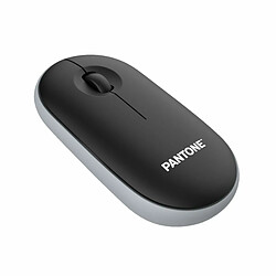 Souris Pantone PT-MS001BK Noir