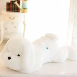 Universal Classic Luminal Teddy Dog -led Light Pillowwhite