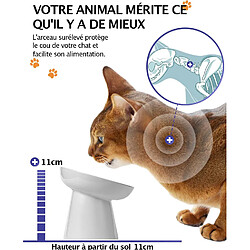 Avis YYHY Bol pour Chat en céramique de 15cm/118ml avec Alimentation Lente,Bol de Nourriture pour Chat Gamelle à Alimentation Lente surélevée pour Chiens Bol pour Chat Anti-Vomiting,Blanc