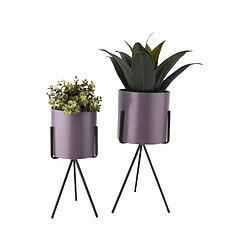 Present Time Duo de Cache-pot Pedestal XL - Violet