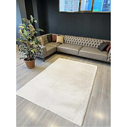 EPIKASA Tapis de Salon Rectangulaire Plush