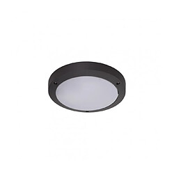 Acheter Luminaire Center Applique de jardin Daru 1 ampoule Anthracite