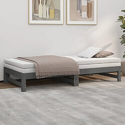 Avis vidaXL Lit coulissant sans matelas gris 2x(90x190) cm