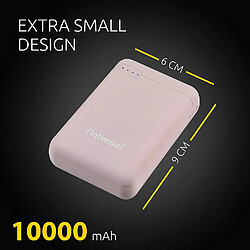 Ina Intenso Powerbank XS10000 10000mAh Rose pas cher