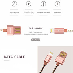 Avis Wewoo Câble argent pour iPhone X / 8 et 8 Plus / 7 7 Plus / 6 6 6 Plus 6 s Plus / iPad RC-080i 1 m USB à Lightning de charge de données,