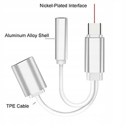 GUPBOO Adaptateur 2 en 1 USB-C vers Mini Jack 3,5 mm + USB-C,JL2059 pas cher