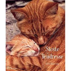 Sieste et tendresse