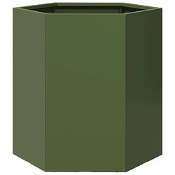 vidaXL Jardinière vert olive hexagone 46x40x45 cm acier