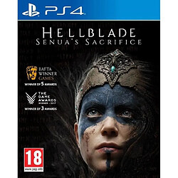 505 Games Hellblade Senua'S Sacrifice Jeu PS4