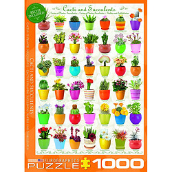 Acheter Eurographics Cactus et Plantes Grasses Puzzle (1000 pièces)