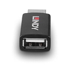 Acheter Lindy Bloqueur de données USB 2.0 Type A vers A avec Chargement de Batterie 1.2