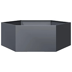 vidaXL Jardinière anthracite hexagone 138x120x45 cm acier