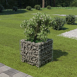 Maison Chic Jardinière,Lit surélevé - Bac à fleurs - pot de fleur à gabion Acier galvanisé 50x50x50 cm -GKD86512