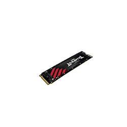 Acheter Mushkin Tempest Disque SSD Interne 1To M.2 NVMe 3300Mo/s Noir