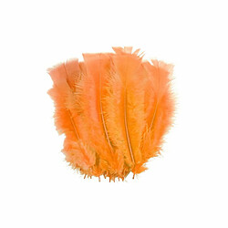 Paris Prix Plumes Décoratives Sensa 16cm - Orange