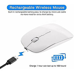 Universal Souris Bluetooth rechargeable pour Mac ordinateur portable Souris Bluetooth sans fil -ThSinde pas cher