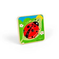 Bigjigs Toys Puzzle Cycle de Vie - Coccinelle