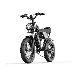 Vélo Électrique Ridstar Q20 - Moteur 750W Batterie 48V20Ah Pneus 20" Freins à Disque Hydrauliques - Noir pas cher