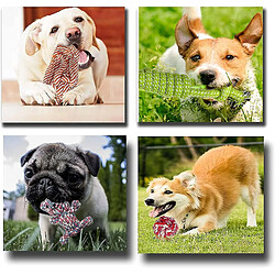 Avis Liangnv Dog Rope Toys / Pack De 10 / Jouets à mâcher pour chiots | Jouets interactifs pour chiens / Jouets en corde de coton pour chiens / Jouets en coton pour chiots / Idéal pour S