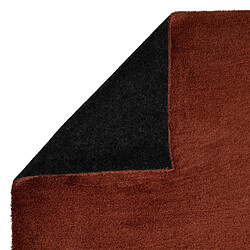 Avis Atmosphera, Createur D'Interieur Tapis reflet Joanne 120x170 cm terracotta - ATMOSPHERA