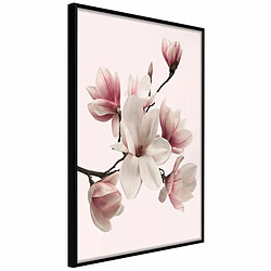 Paris Prix Affiche Murale Encadrée Blooming Magnolias I 20 x 30 cm Noir