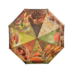 Avis Esschert Design Grand parapluie bois et métal toile polyester Automne.