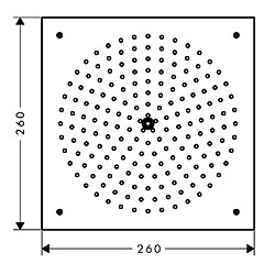 Hansgrohe - Douche de tête Raindance 260 x 260 mm 1 jet chromé