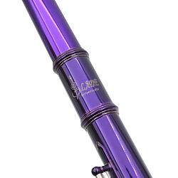 Tube de cupronickel durable à 16 trous c flûte à clé avec touche split e violet pas cher