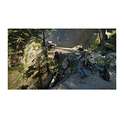 Avis SONY COMPUTER ENTERTAINMENT Days Gone Jeu PS4