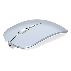 Avis Souris Sans Fil Bluetooth5.0 Double Mode + Mode 2,4 GHz Pour Ordinateur Portable PC Argent