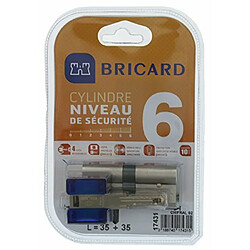 Bricard 17431 Cylindre de serrure double entrée Chifral S2 35+35 Nickelé