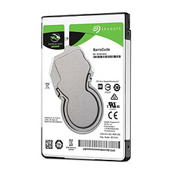 Acheter Seagate Technology BarraCuda Compute Disque Dur Interne 2000Go HDD 2.5" 5400tr/min Serial ATA 600 Argent