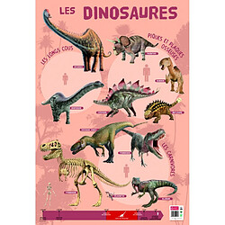 Ac-Deco Poster pédagogique - Dinosaures - 52 x 76 cm