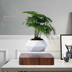 Wewoo Diamant En Plastique Pot De Fleur + Foncé Grain Bois Base Lévitation Magnétique Plante DécorationUS Plug pas cher