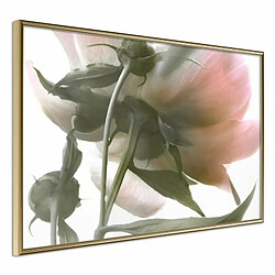 Paris Prix Affiche Murale Encadrée Under the Flower 30 x 20 cm Or