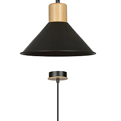 Acheter EPIKASA Suspension Rowen, Noir, Acier, 25x100x25 cm