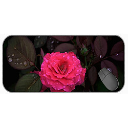 Universal (750x300x3) Grand tampon de souris de jeu avec couture de bord, nature, rose, tapis de souris de fleur 