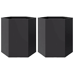 vidaXL Jardinières 2 pcs noir hexagone 46x40x45 cm acier