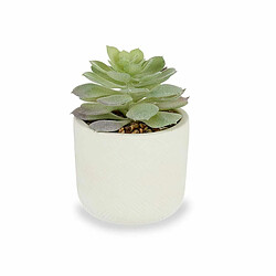 Ibergarden Plante décorative Succulent Plastique 14 x 13,5 x 14 cm (12 Unités)