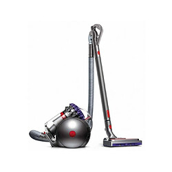 Dyson Aspirateur traîneau Big Ball Parquet 2