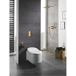 Grohe Cuvette suspendue Japonaise SENSIA ARENA pas cher