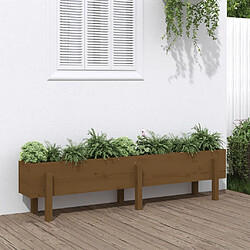 vidaXL Lit surélevé de jardin marron miel 160x30x38 bois de pin massif