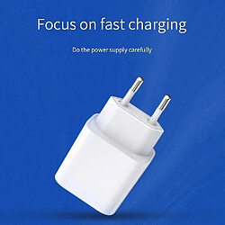 Avis Universal 20W iPhone iPad Fast Charger Apple 11/12/13 Adaptateur d'alimentation USB-C EU-PLUG