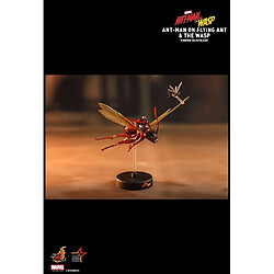 Acheter Hot Toys MMSC004 - Marvel Comics - Ant-Man And The Wasp - Ant-Man On Flying Ant & The Wasp